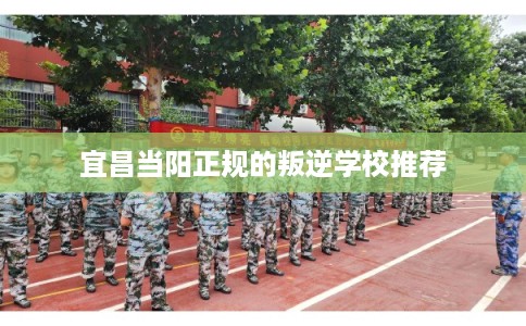 宜昌当阳正规的叛逆学校推荐