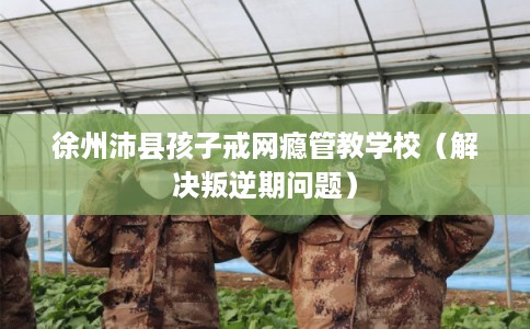 徐州沛县孩子戒网瘾管教学校（解决叛逆期问题）