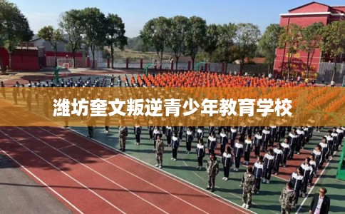 潍坊奎文叛逆青少年教育学校