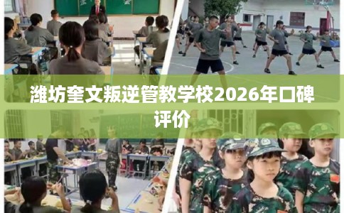 潍坊奎文叛逆管教学校2026年口碑评价 潍坊奎文叛逆管教学校2026年口碑评价