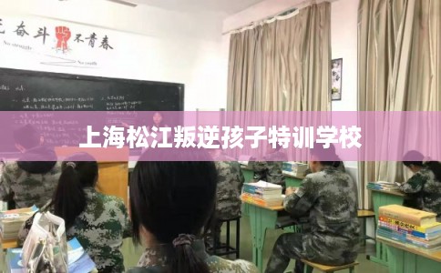 上海松江叛逆孩子特训学校 上海松江叛逆孩子特训学校