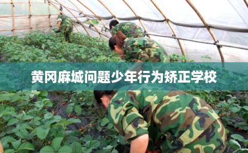 黄冈麻城问题少年行为矫正学校 黄冈麻城问题少年行为矫正学校