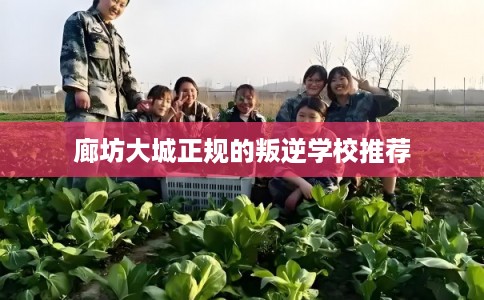 廊坊大城正规的叛逆学校推荐