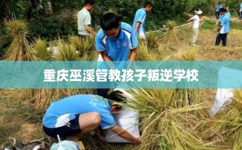 重庆巫溪管教孩子叛逆学校