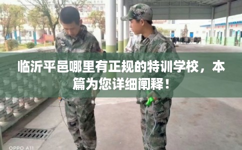 临沂平邑哪里有正规的特训学校,本篇为您详细阐释! 临沂平邑哪里有正规的特训学校,本篇为您详细阐释!