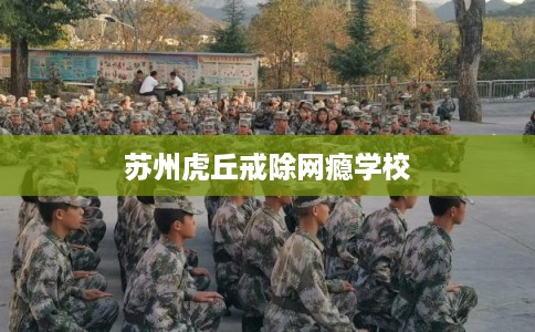 苏州虎丘戒除网瘾学校 苏州虎丘戒除网瘾学校