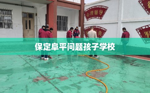 保定阜平问题孩子学校
