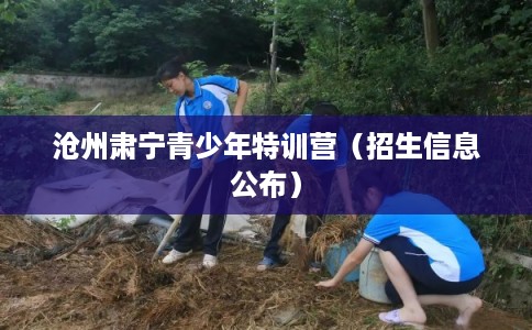 沧州肃宁青少年特训营(招生信息公布) 沧州肃宁青少年特训营(招生信息公布)