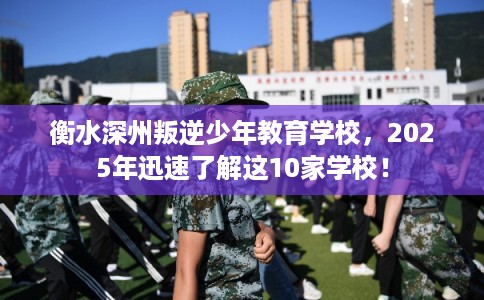 衡水深州叛逆少年教育学校，2025年迅速了解这10家学校！