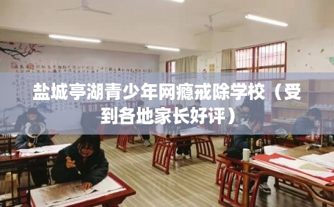 盐城亭湖青少年网瘾戒除学校(受到各地家长好评) 盐城亭湖青少年网瘾戒除学校(受到各地家长好评)