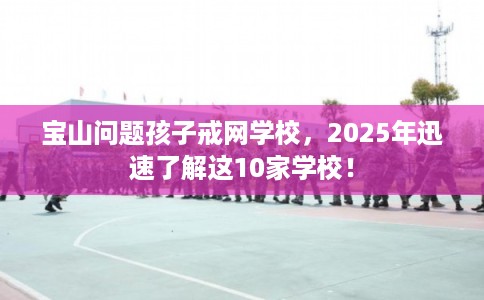 宝山问题孩子戒网学校,2025年迅速了解这10家学校! 宝山问题孩子戒网学校,2025年迅速了解这10家学校!