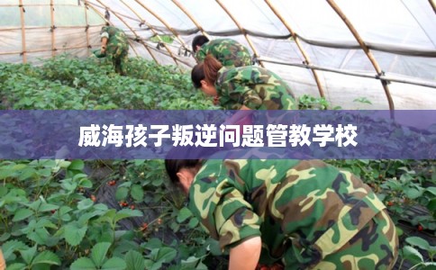 威海孩子叛逆问题管教学校