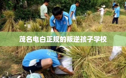 茂名电白正规的叛逆孩子学校