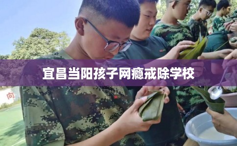 宜昌当阳孩子网瘾戒除学校