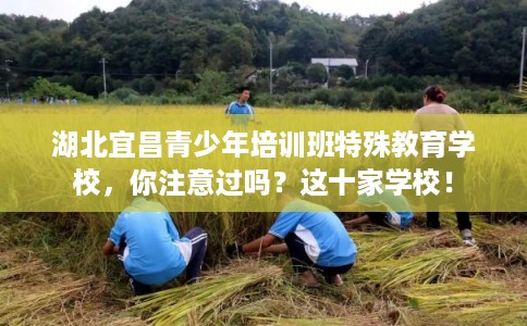 湖北宜昌青少年培训班特殊教育学校,你注意过吗?这十家学校! 湖北宜昌青少年培训班特殊教育学校,你注意过吗?这十家学校!