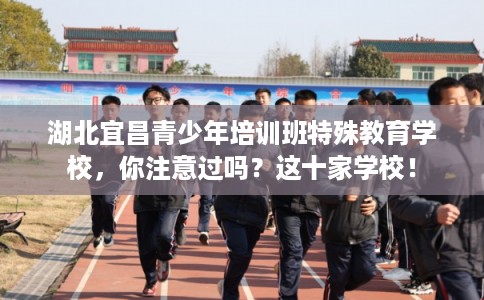 湖北宜昌青少年培训班特殊教育学校，你注意过吗？这十家学校！