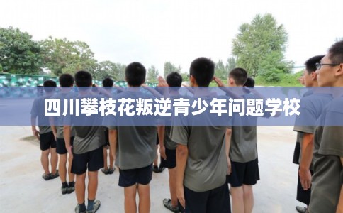 四川攀枝花叛逆青少年问题学校 四川攀枝花叛逆青少年问题学校