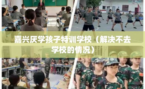 嘉兴厌学孩子特训学校（解决不去学校的情况）
