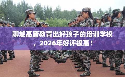 聊城高唐教育出好孩子的培训学校,2026年好评极高! 聊城高唐教育出好孩子的培训学校,2026年好评极高!