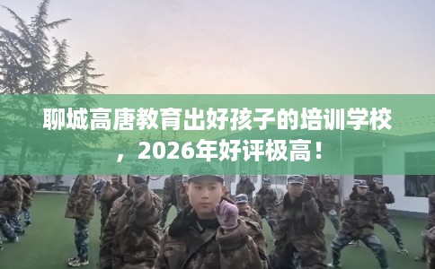 聊城高唐教育出好孩子的培训学校，2026年好评极高！