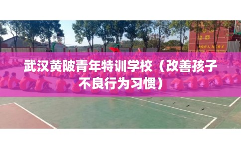 武汉黄陂青年特训学校(改善孩子不良行为习惯) 武汉黄陂青年特训学校(改善孩子不良行为习惯)