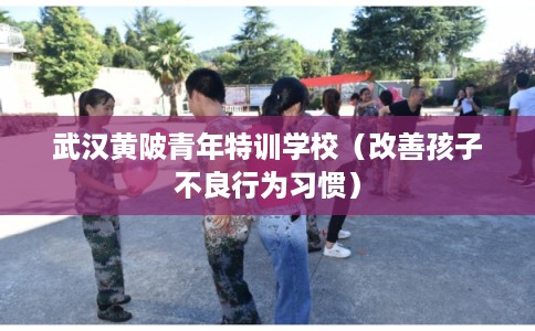 武汉黄陂青年特训学校(改善孩子不良行为习惯) 武汉黄陂青年特训学校(改善孩子不良行为习惯)