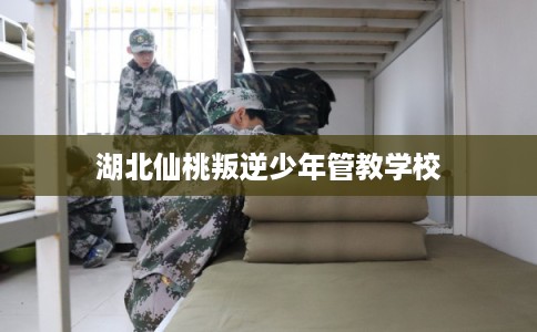 湖北仙桃叛逆少年管教学校 湖北仙桃叛逆少年管教学校