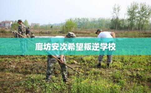 廊坊安次希望叛逆学校
