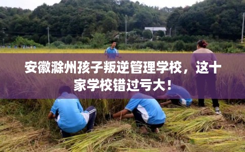 安徽滁州孩子叛逆管理学校，这十家学校错过亏大！