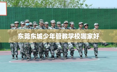 东莞东城少年管教学校哪家好
