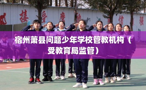 宿州萧县问题少年学校管教机构(受教育局监管) 宿州萧县问题少年学校管教机构(受教育局监管)