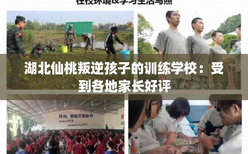 湖北仙桃叛逆孩子的训练学校：受到各地家长好评