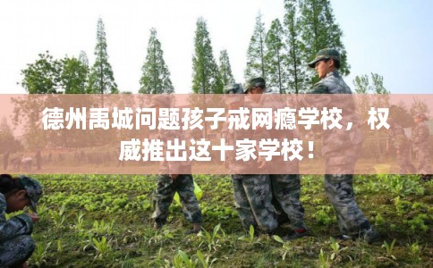 德州禹城问题孩子戒网瘾学校,权威推出这十家学校! 德州禹城问题孩子戒网瘾学校,权威推出这十家学校!