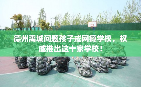 德州禹城问题孩子戒网瘾学校，权威推出这十家学校！