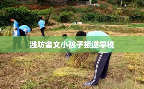 潍坊奎文小孩子叛逆学校