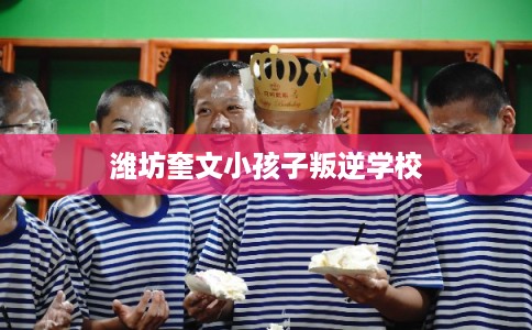潍坊奎文小孩子叛逆学校