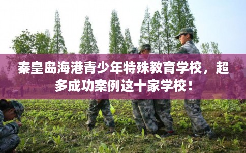 秦皇岛海港青少年特殊教育学校，超多成功案例这十家学校！