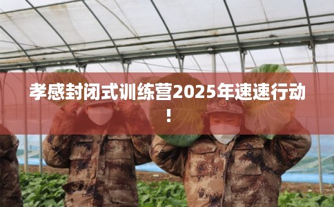 孝感封闭式训练营2025年速速行动! 孝感封闭式训练营2025年速速行动!