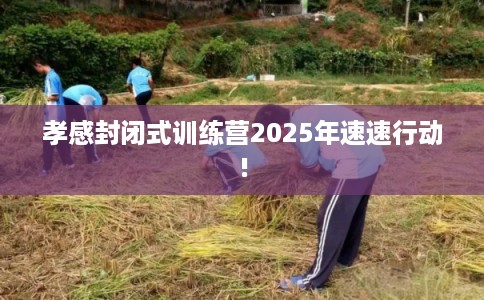 孝感封闭式训练营2025年速速行动! 孝感封闭式训练营2025年速速行动!