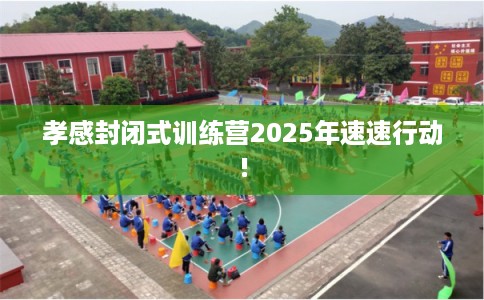 孝感封闭式训练营2025年速速行动!