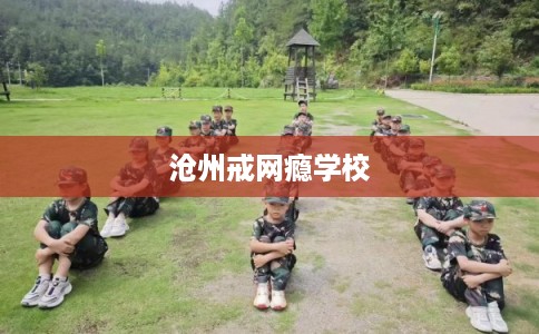 沧州戒网瘾学校 沧州戒网瘾学校