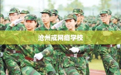沧州戒网瘾学校 沧州戒网瘾学校