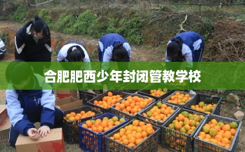 合肥肥西少年封闭管教学校