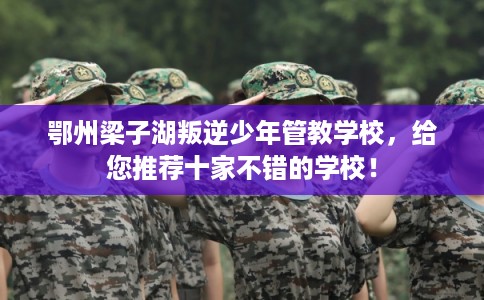 鄂州梁子湖叛逆少年管教学校,给您推荐十家不错的学校! 鄂州梁子湖叛逆少年管教学校,给您推荐十家不错的学校!