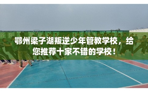 鄂州梁子湖叛逆少年管教学校，给您推荐十家不错的学校！