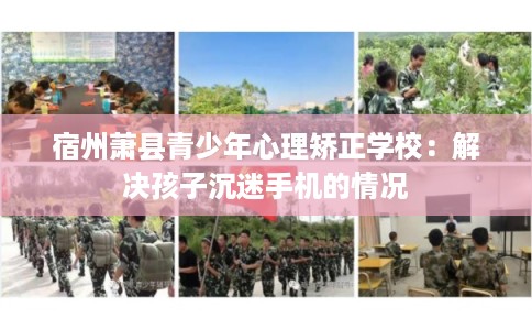 宿州萧县青少年心理矫正学校：解决孩子沉迷手机的情况