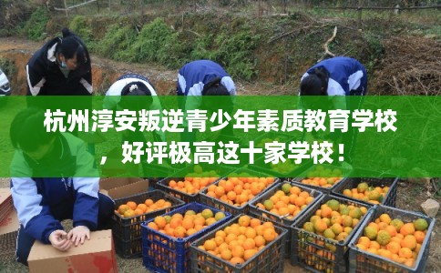 杭州淳安叛逆青少年素质教育学校,好评极高这十家学校! 杭州淳安叛逆青少年素质教育学校,好评极高这十家学校!
