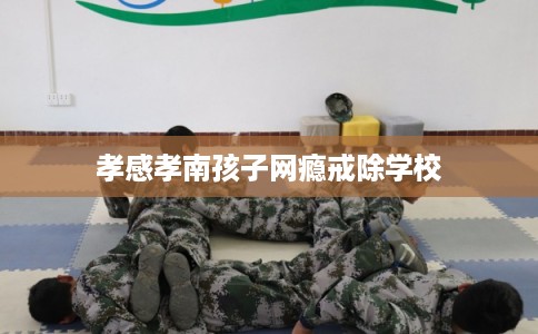 孝感孝南孩子网瘾戒除学校 孝感孝南孩子网瘾戒除学校