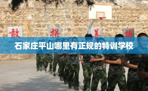 石家庄平山哪里有正规的特训学校