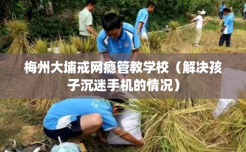 梅州大埔戒网瘾管教学校（解决孩子沉迷手机的情况）